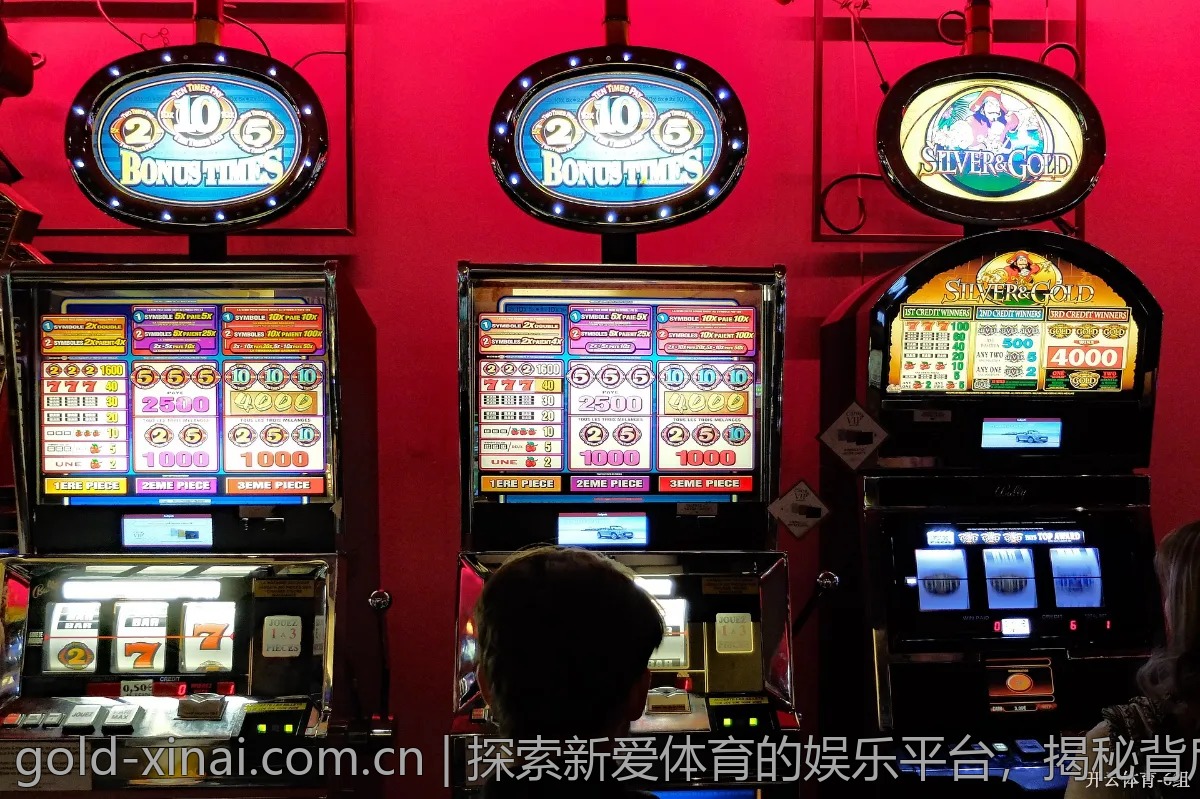 探索新爱体育的娱乐平台，揭秘背后的技术支持