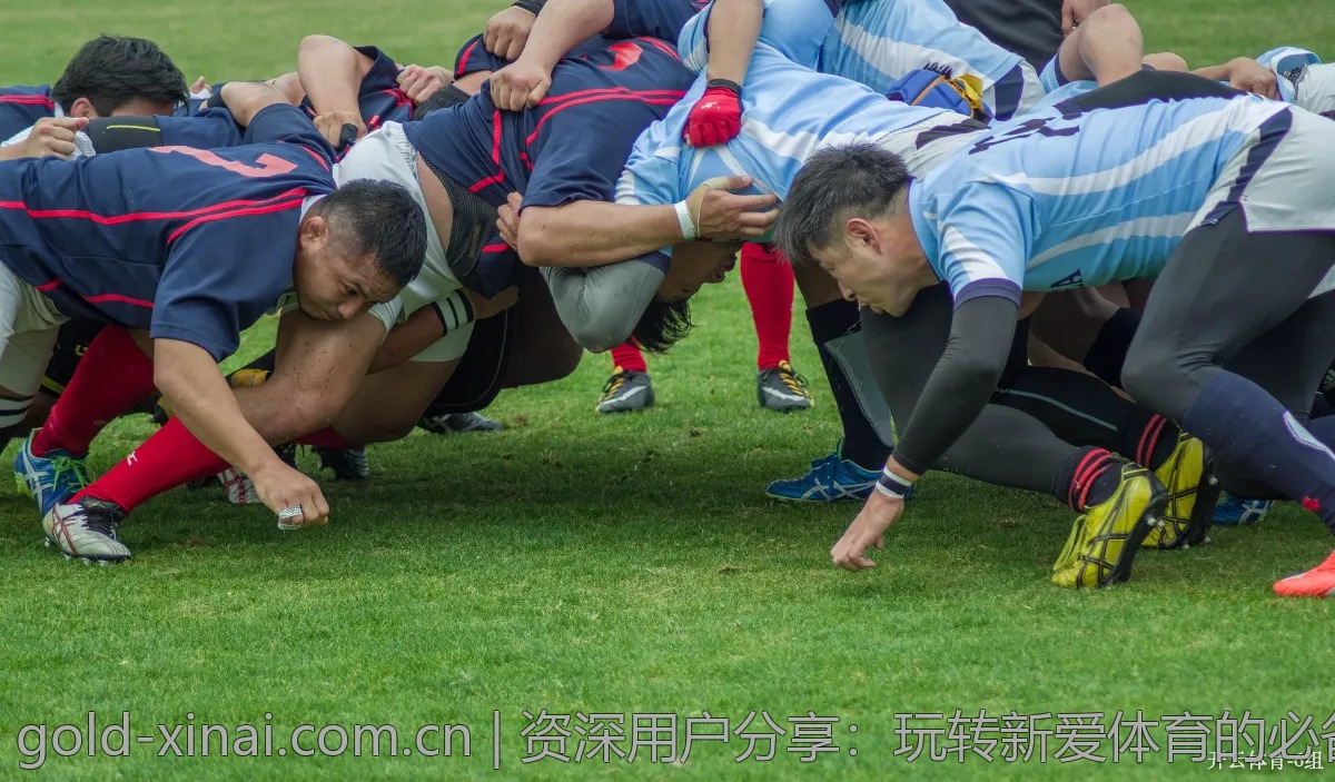 资深用户分享：玩转新爱体育的必备技巧