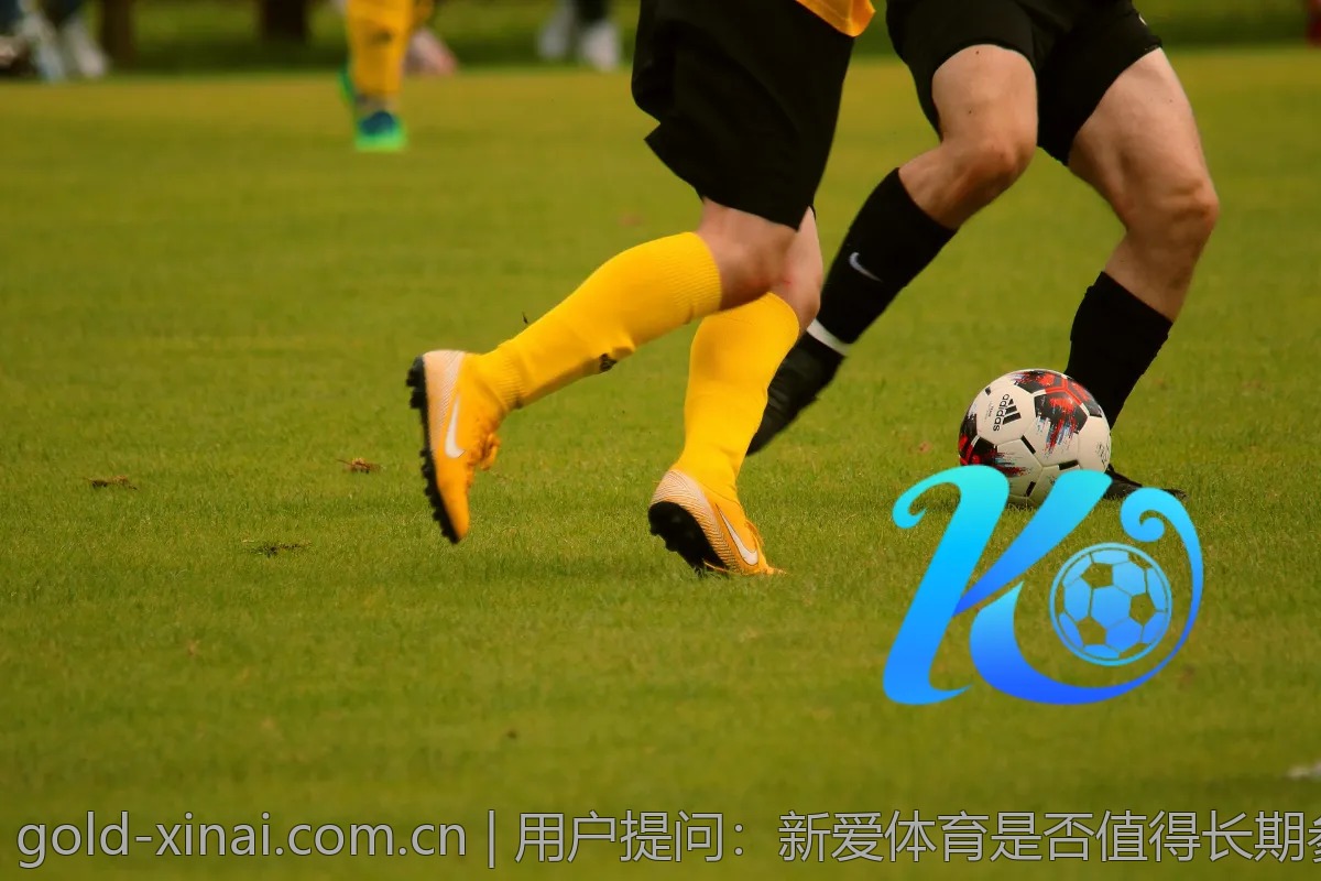 用户提问：新爱体育是否值得长期参与投资？